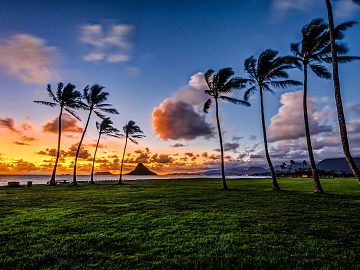 Zdjęcie kierunku: Honolulu
